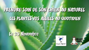 prendre soin de son chien au Naturel avec Gregory Sonrier et Accord Canin